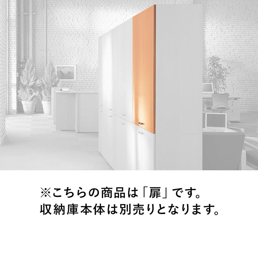 【組キャン】fantoni収納庫専用 木製扉 上置き用高さ120cm 鍵付 (ファントーニ )