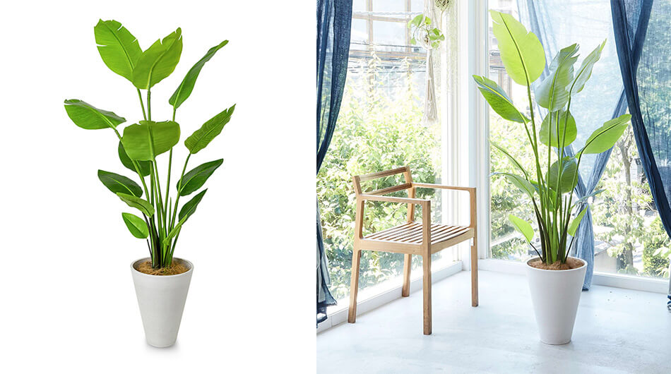 ストレチア 高さ160cm フェイクグリーン 人工観葉植物 大型 インテリア オフィス の通販 オフィスグリーン ガラージ Garage