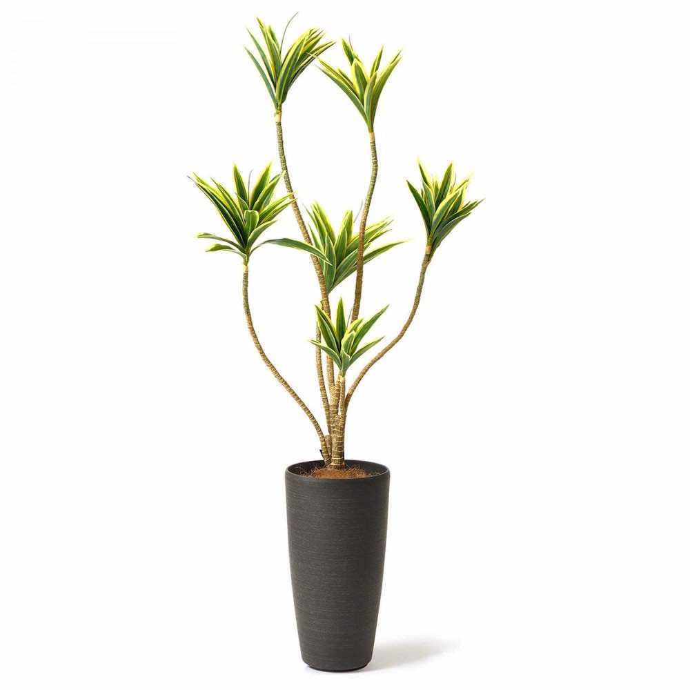フェイクグリーン 観葉植物 ドラセナ 約幅43×奥行42×高さ84cm リビング