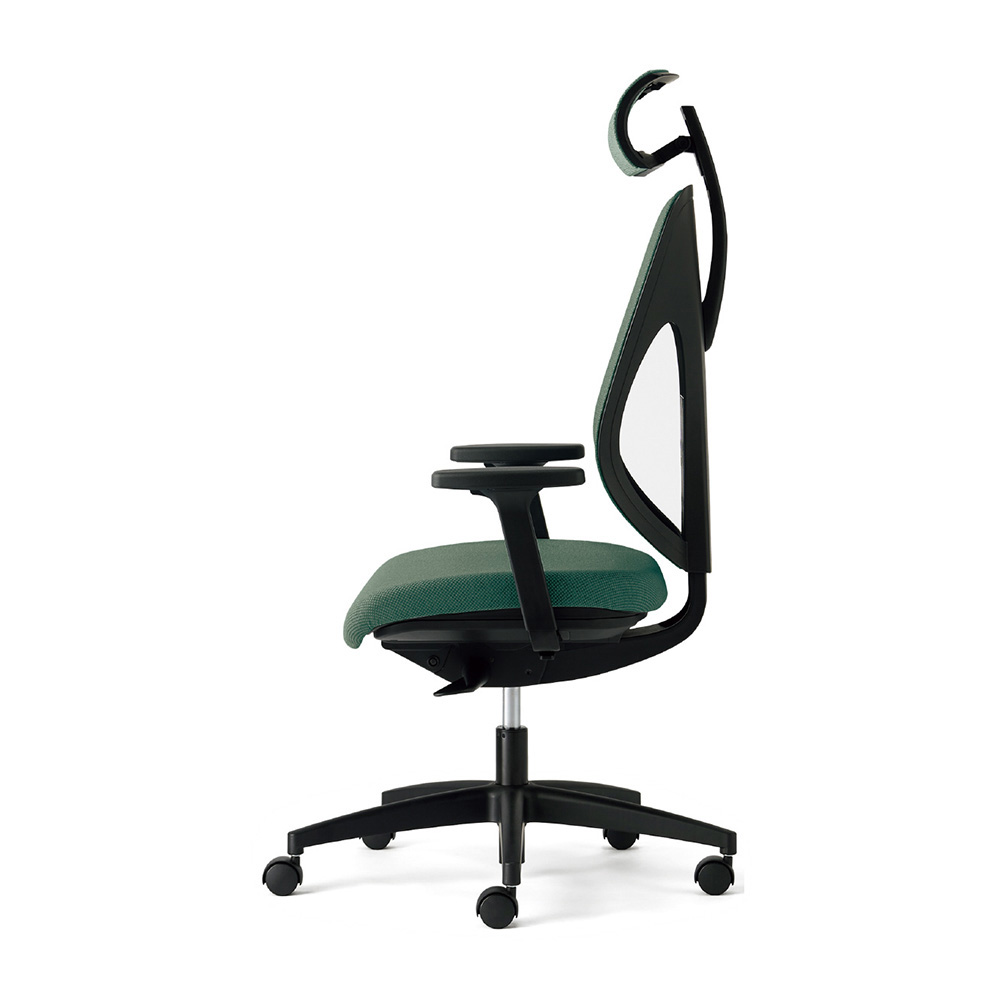 エバーグリーン