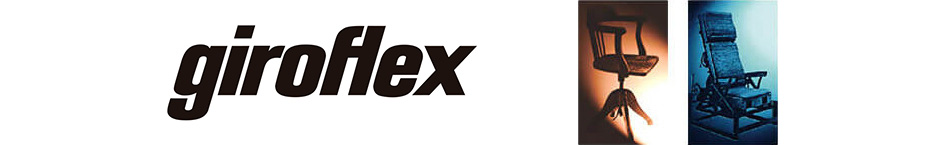 giroflex ジロフレックス 353 チェア ハンガー付き/肘付き/アルミ脚 背座同色タイプ19