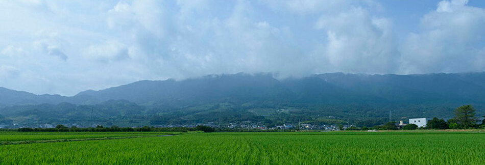 天然木アルダー無垢材 キッズチェア 学習イス ナチュラルウッドシリーズ3