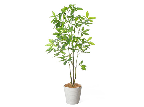 パキラ 高さ160cm (フェイクグリーン 観葉植物 オフィスグリーン プランター インテリア)8