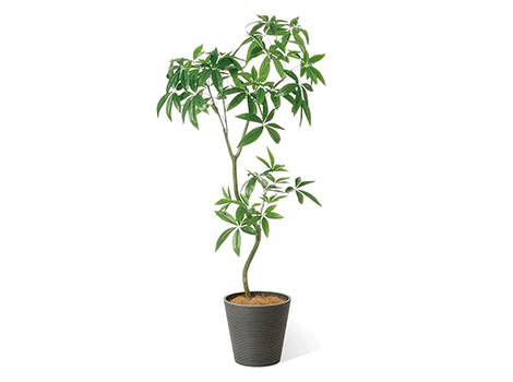 パキラ 高さ160cm (フェイクグリーン 観葉植物 オフィスグリーン インテリア)7