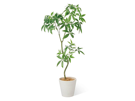 パキラ 高さ160cm (フェイクグリーン 観葉植物 オフィスグリーン インテリア)8