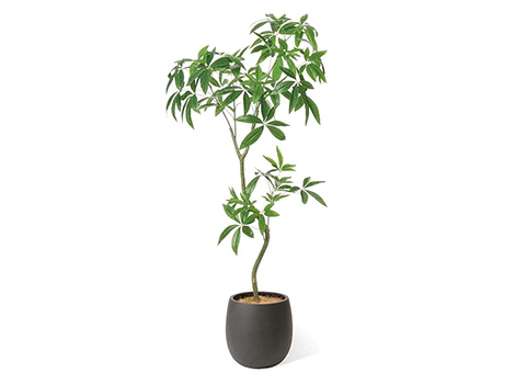 パキラ エッグポット 高さ155cm (フェイクグリーン 観葉植物 オフィスグリーン)7