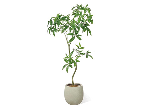 パキラ エッグポット 高さ155cm (フェイクグリーン 観葉植物 オフィスグリーン)8