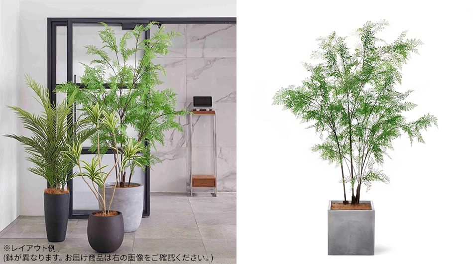 シダ キューブプランター 高さ210cm フェイクグリーン 観葉植物1