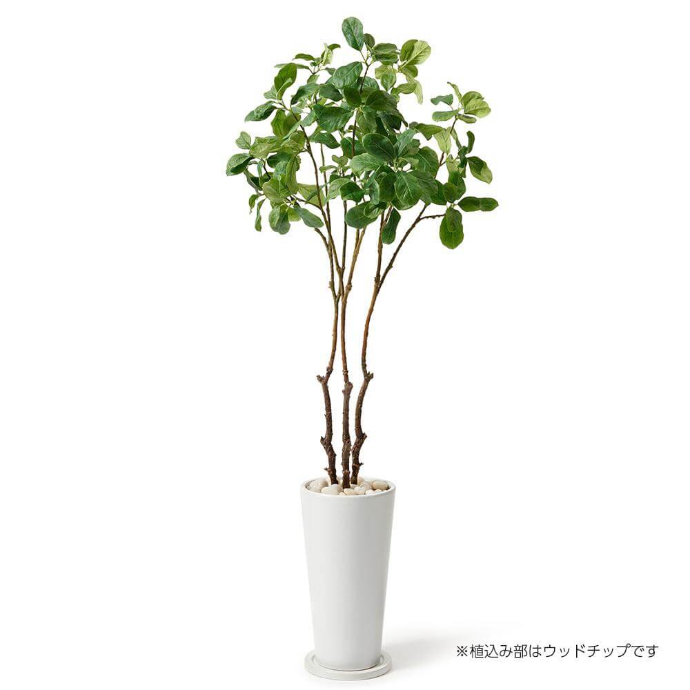 人工観葉植物 オリーブ （ポット付き） 高さ180cm （P280-a50903) （代引き不可） インテリアグリーン フェイクグリーン