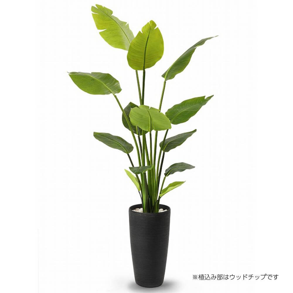 ストレチア 高さ160cm (フェイクグリーン 人工観葉植物 インテリア ...