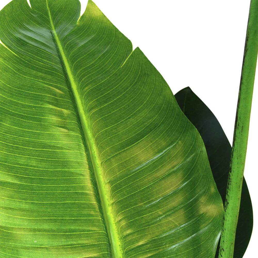2種類選べる ササガワ メーカー直送品 人工観葉植物 ストレリチア Ｌサイズ 高さ１６５ｃｍ フェイクグリーン 造花 