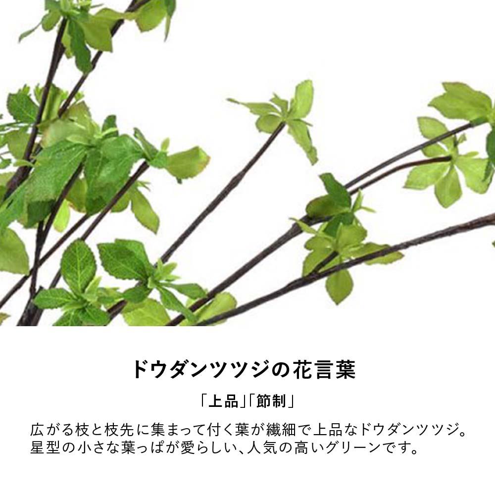 ドウダンツツジ×アジアンタム ウォーターシリンダー ( フェイクグリーン 観葉植物 )