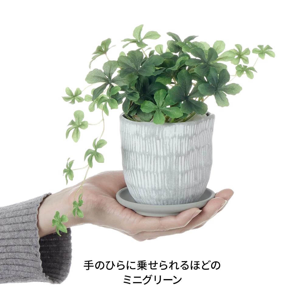 シュガーバイン ハピプランター ミニフェイクグリーン 造花 鉢植え