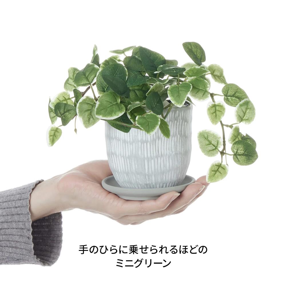 プミラ ハピプランター ミニフェイクグリーン 造花 鉢植え