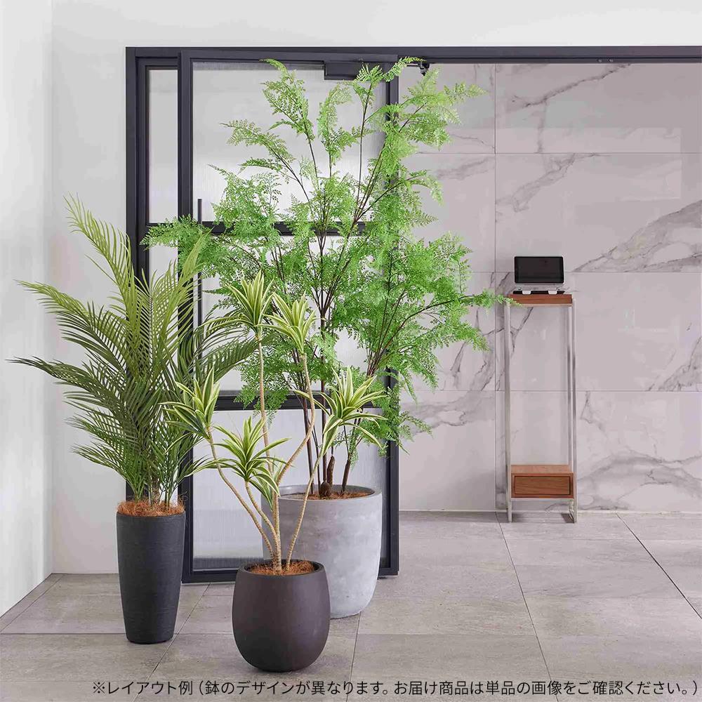 シダ キューブプランター 高さ210cm フェイクグリーン 観葉植物