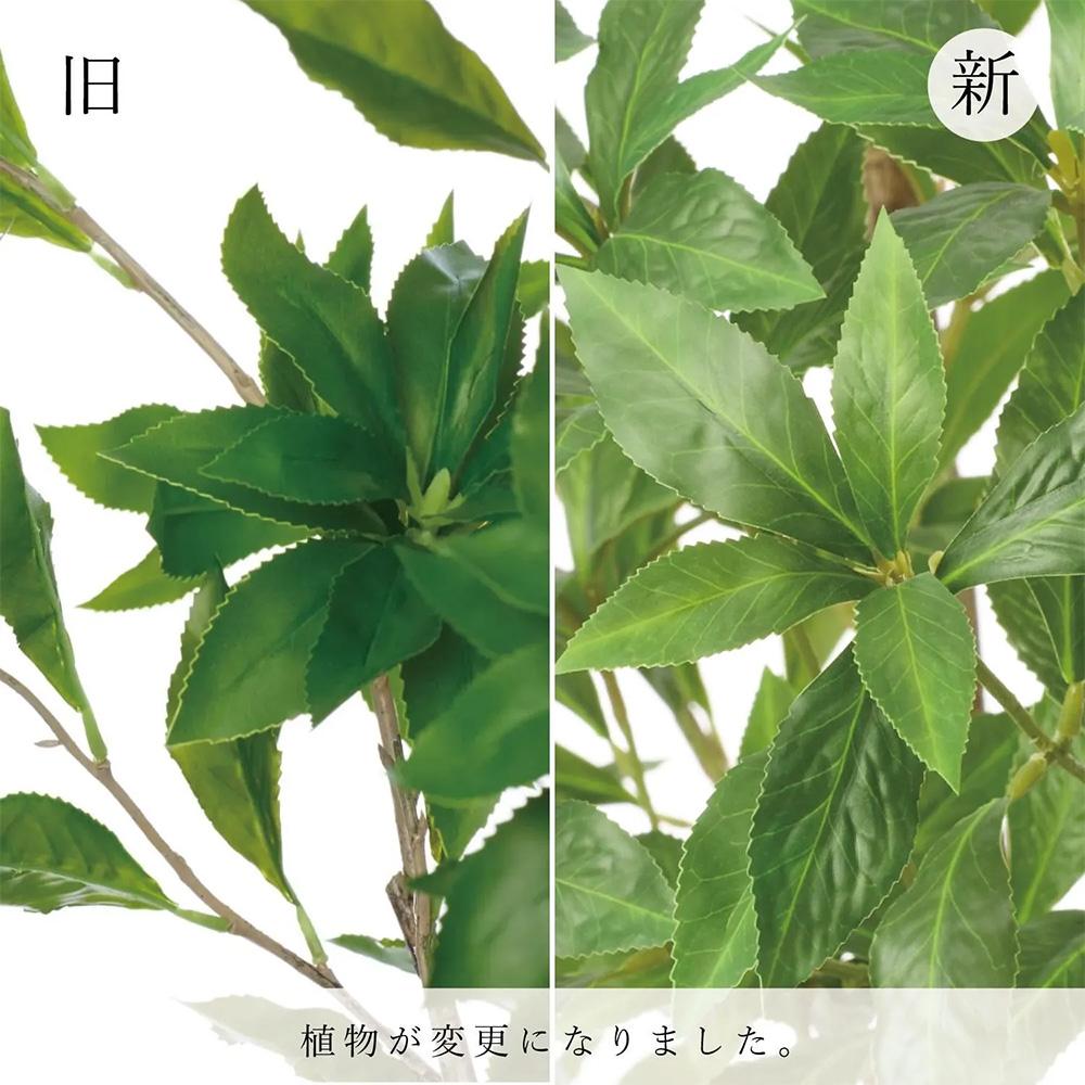 アセビ キューブプランター 高さ215cm フェイクグリーン 観葉植物 の