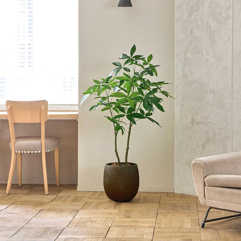 パキラ 高さ130cm (フェイクグリーン 観葉植物 オフィスグリーン エッグポット インテリア)