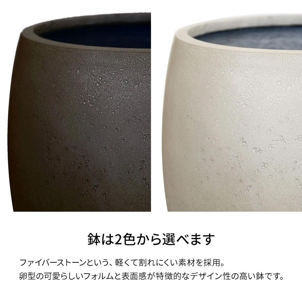 パキラ 高さ130cm (フェイクグリーン 観葉植物 オフィスグリーン エッグポット インテリア)