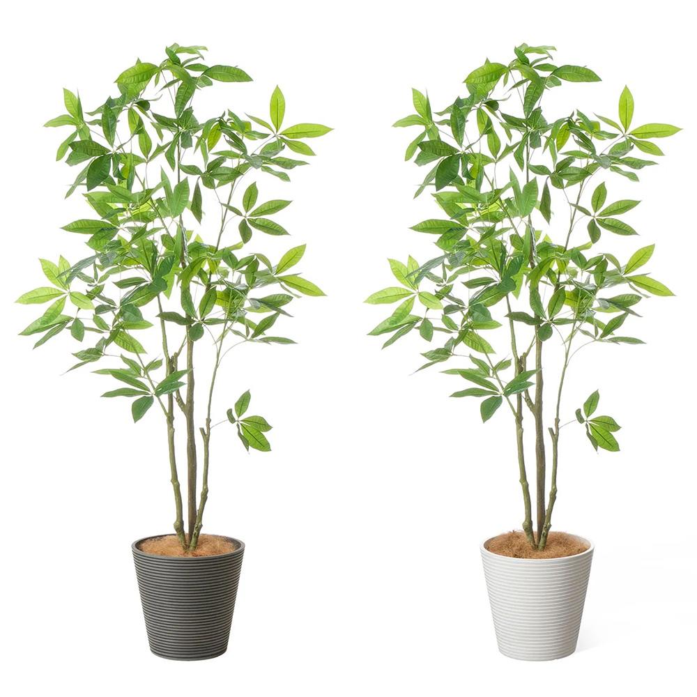 パキラ 高さ160cm (フェイクグリーン 観葉植物 オフィスグリーン プランター インテリア)