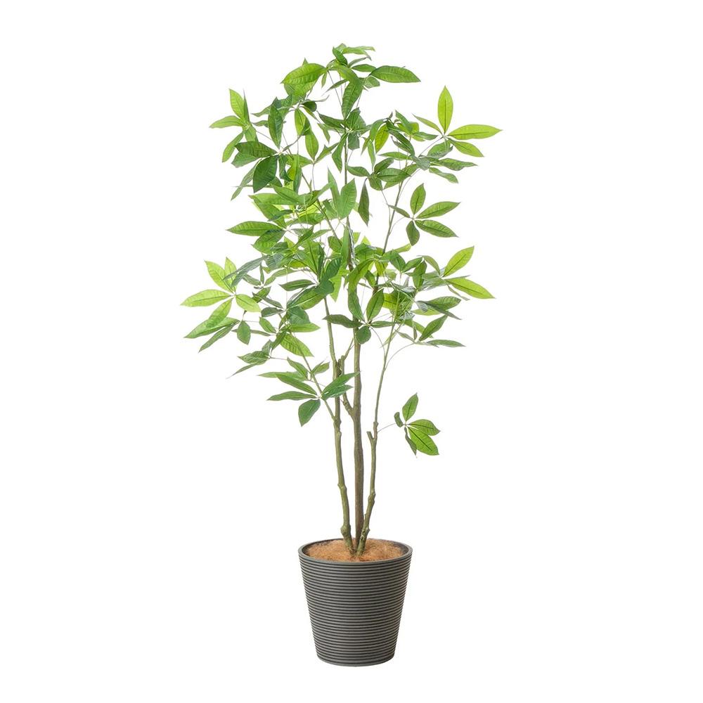 パキラ 高さ160cm (フェイクグリーン 観葉植物 オフィスグリーン プランター インテリア)