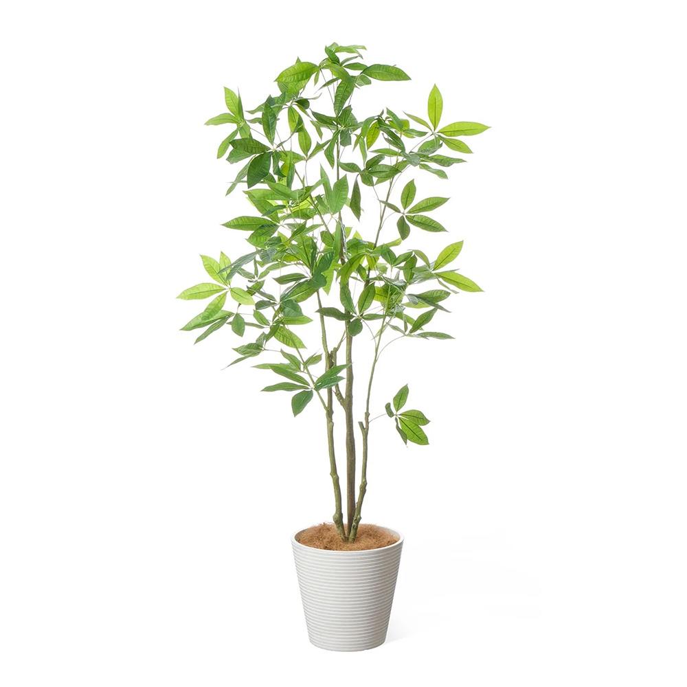 パキラ 高さ160cm (フェイクグリーン 観葉植物 オフィスグリーン プランター インテリア)