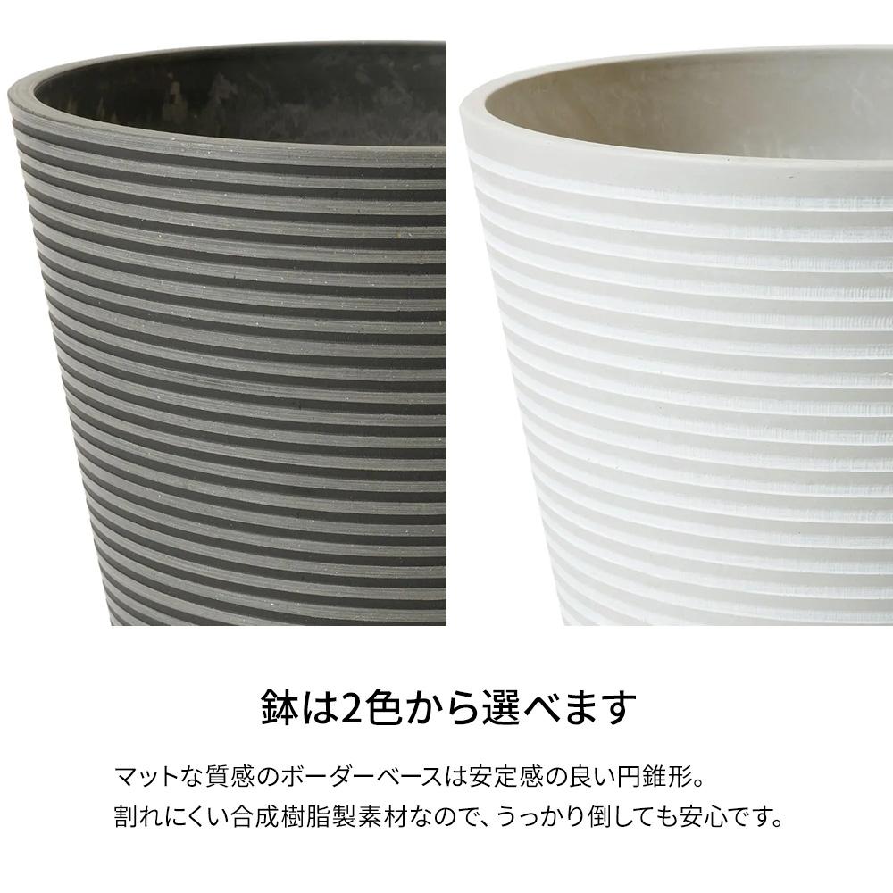 パキラ 高さ160cm (フェイクグリーン 観葉植物 オフィスグリーン プランター インテリア)