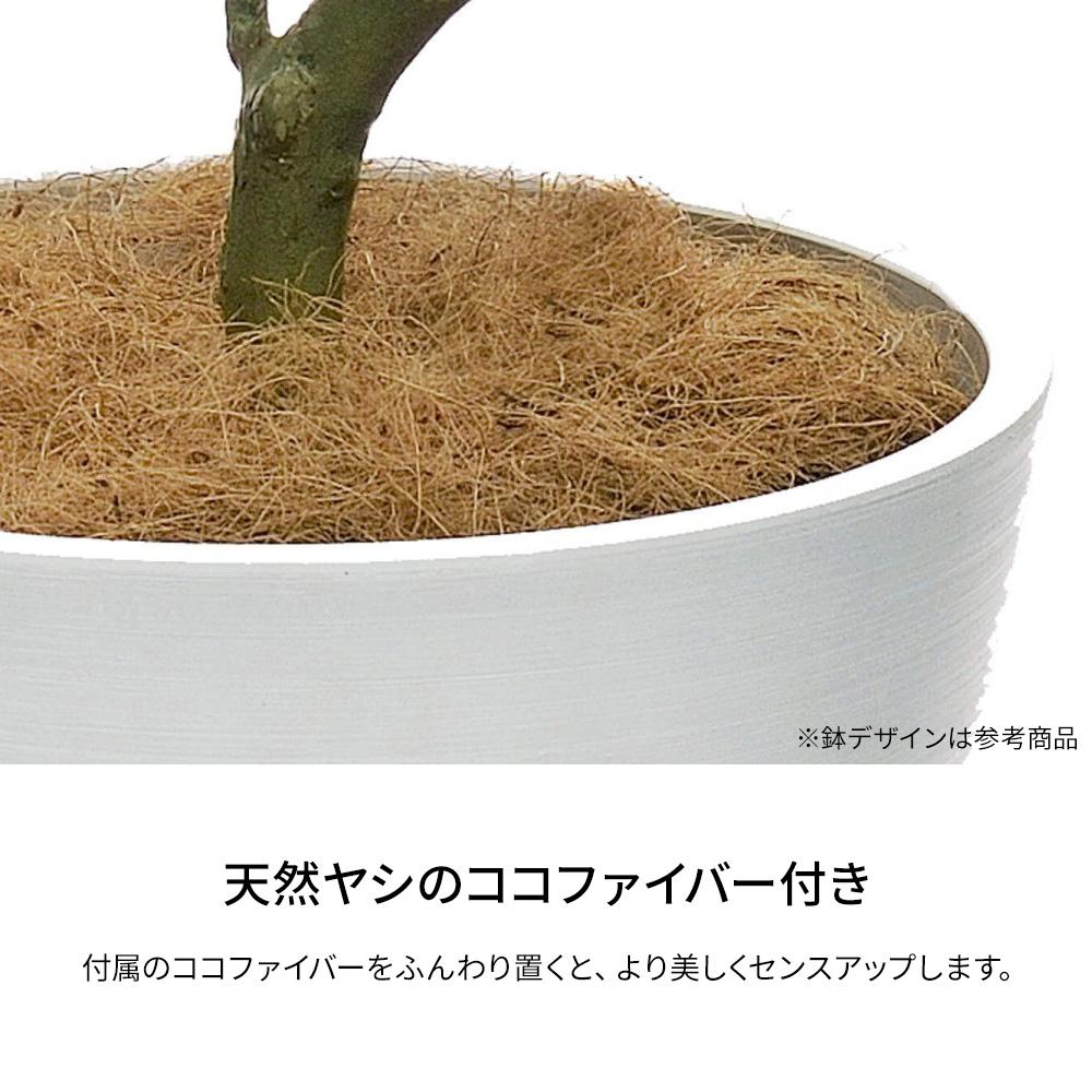 パキラ 高さ160cm (フェイクグリーン 観葉植物 オフィスグリーン プランター インテリア)