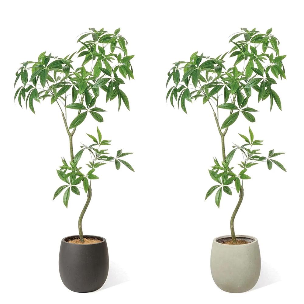 パキラ エッグポット 高さ155cm (フェイクグリーン 観葉植物 オフィスグリーン)