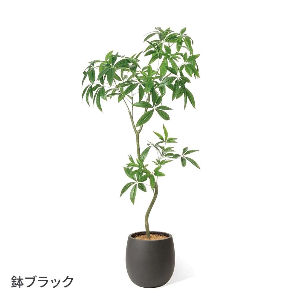 パキラ エッグポット 高さ155cm (フェイクグリーン 観葉植物 オフィスグリーン)