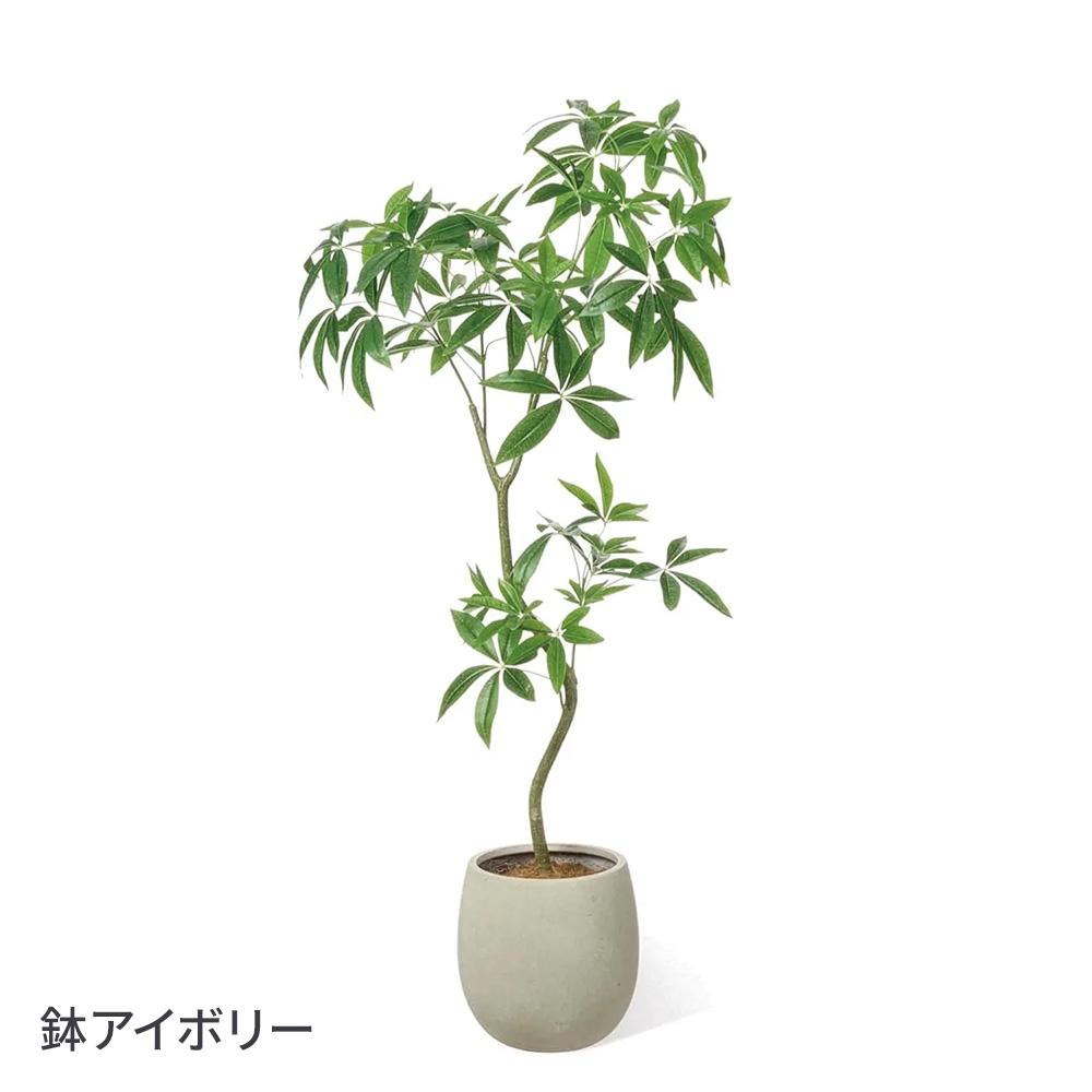 パキラ エッグポット 高さ155cm (フェイクグリーン 観葉植物 オフィスグリーン)