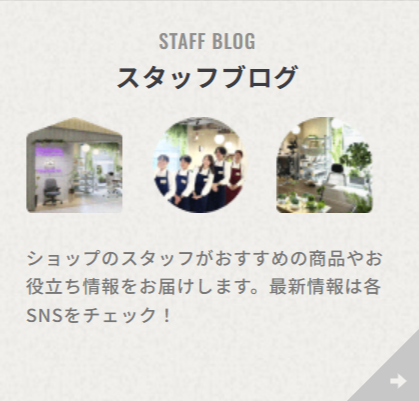 STAFF BLOG