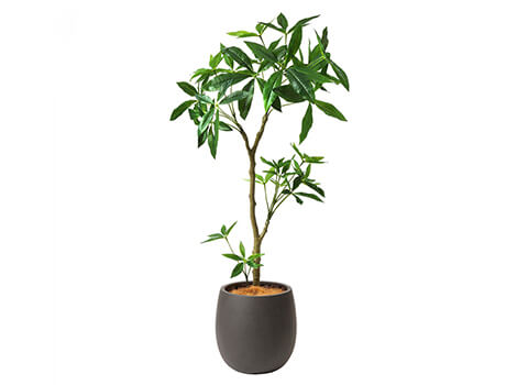 パキラ 高さ125cm (フェイクグリーン フロアグリーン 観葉植物 インテリア オフィス)7