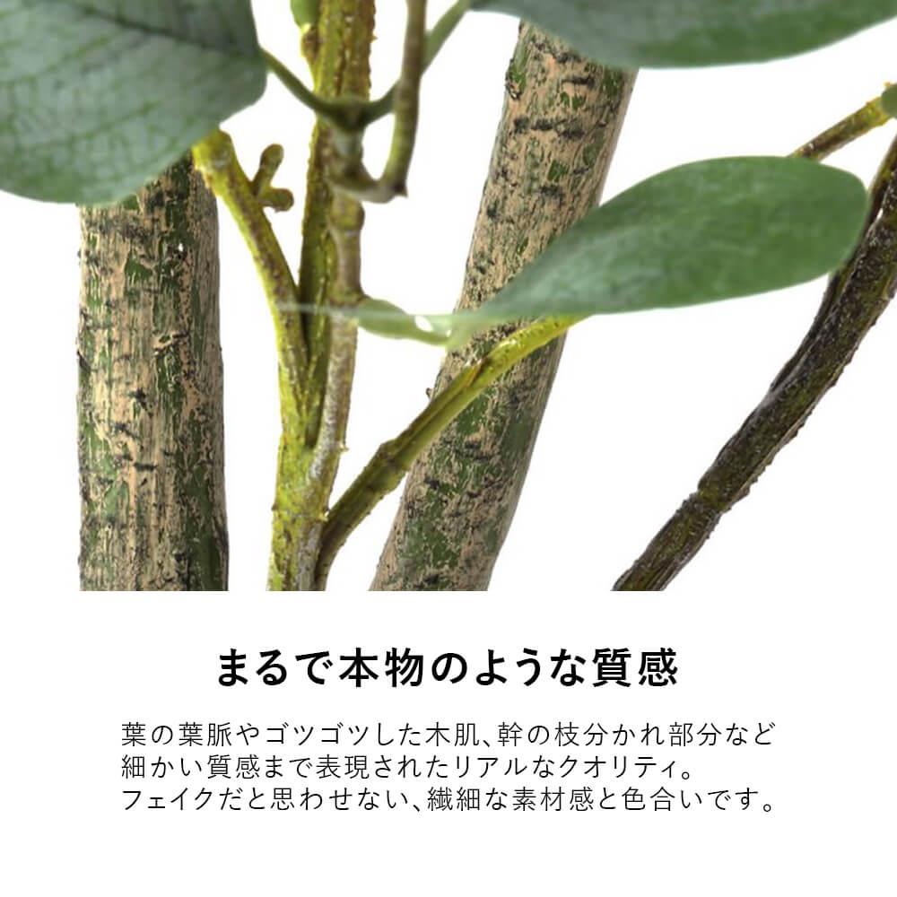 ユーカリ 高さ185cm (フェイクグリーン フロアグリーン 観葉植物 大型 インテリア オフィス)